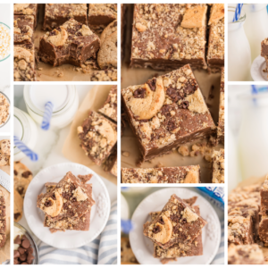 EXCLUSIVE: Chips Ahoy Fudge (Chocolate Chip Cookie)
