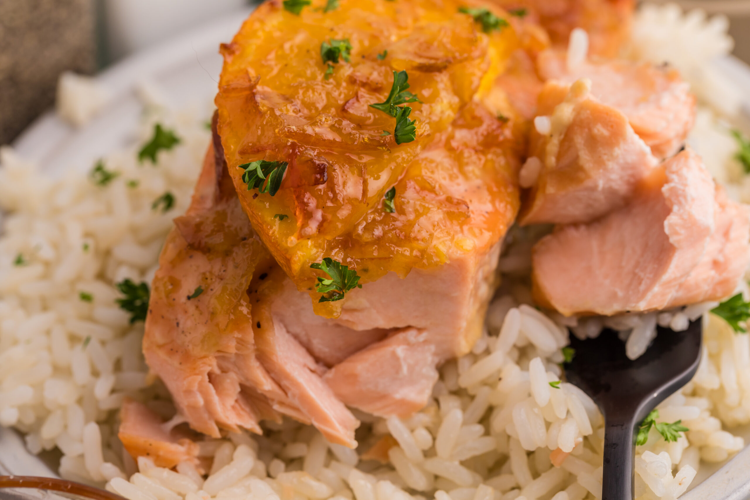 EXCLUSIVE: ORANGE MARMALADE GLAZED SALMON - Image 18