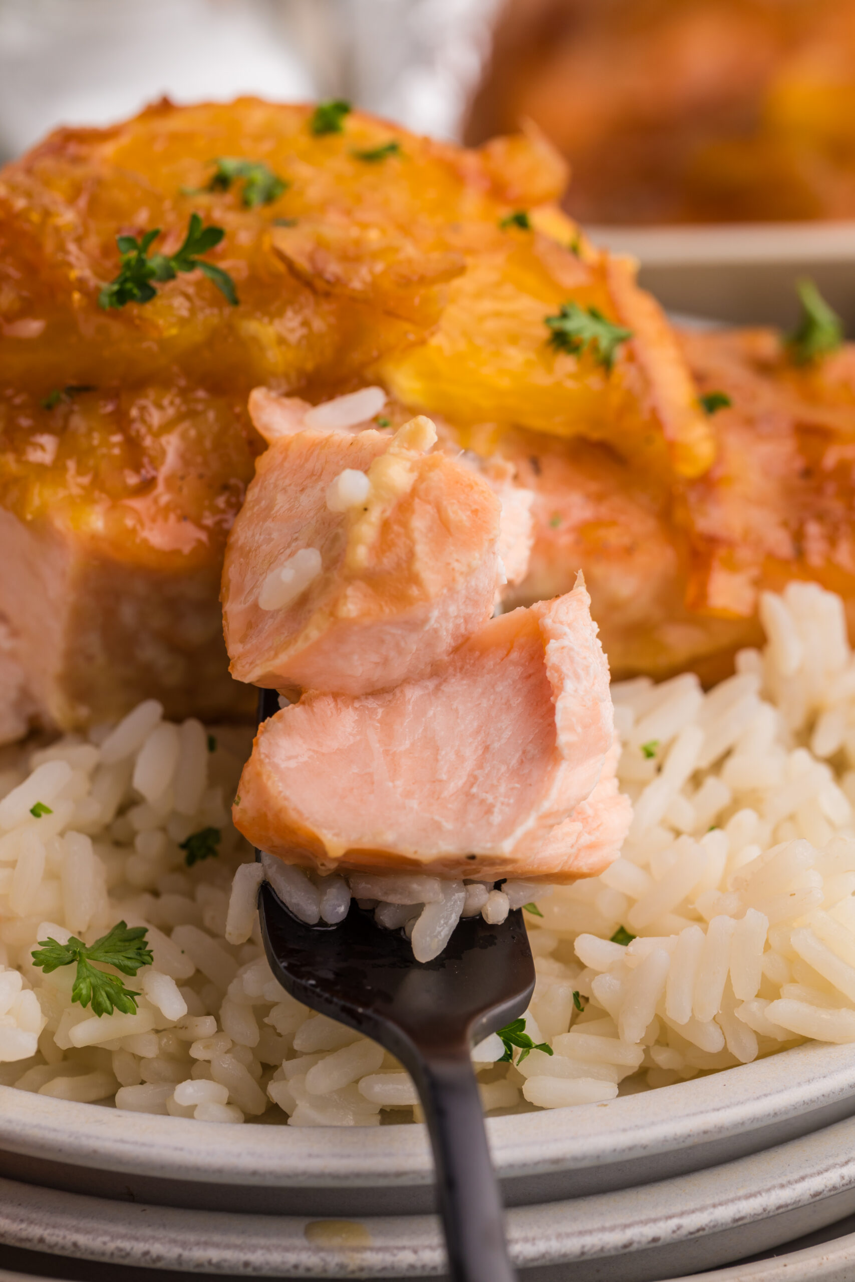 EXCLUSIVE: ORANGE MARMALADE GLAZED SALMON - Image 14