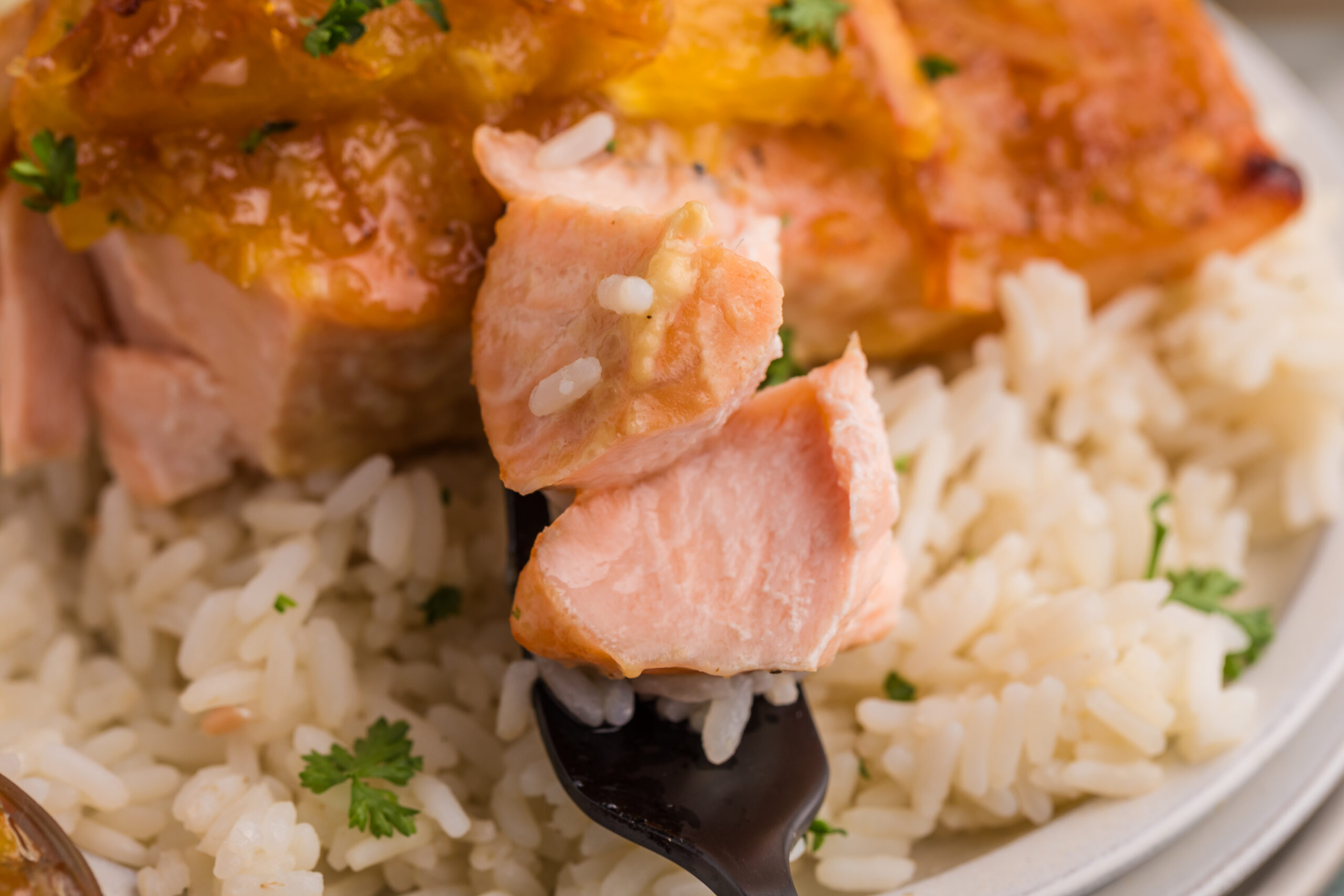 EXCLUSIVE: ORANGE MARMALADE GLAZED SALMON - Image 13